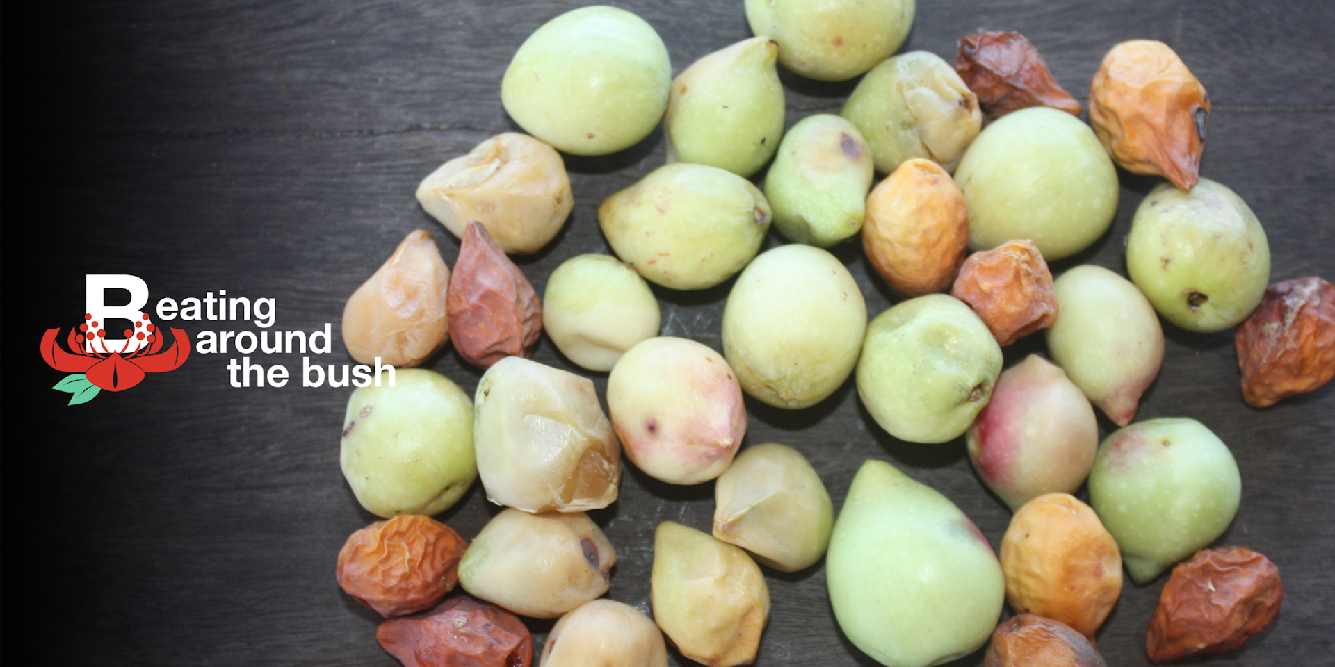 Meet the Kakadu plum an international superfood thousands of years in