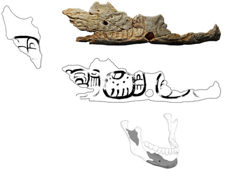 Trophies made from human skulls hint at regional conflicts around the time of Maya civilization's mysterious collapse