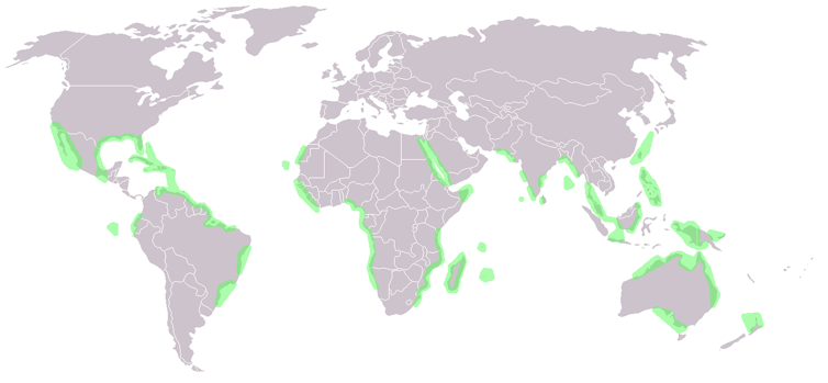 mangrove distribution map