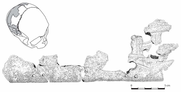 Trophies made from human skulls hint at regional conflicts around the time of Maya civilization's mysterious collapse