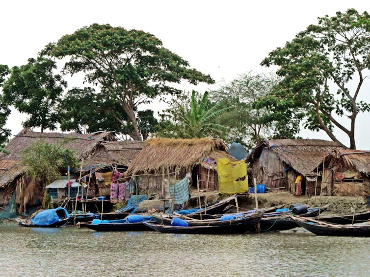 A village in Bangladesh