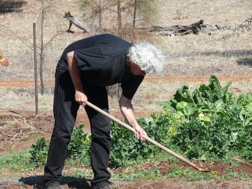 on being an ethical vegan for 33 years