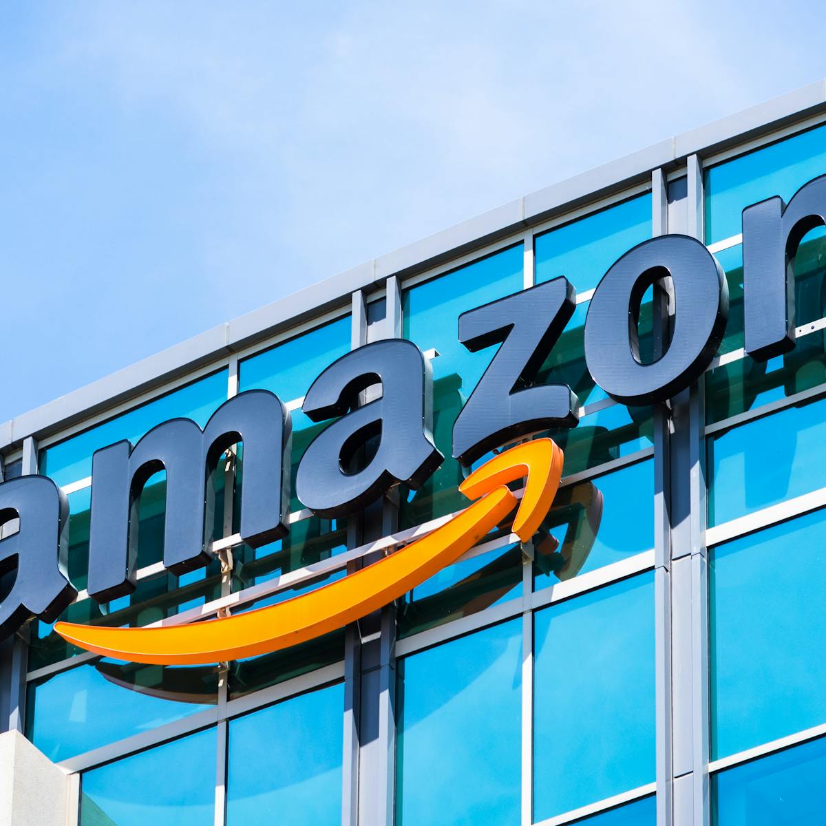 Amazon Wins Amazon Domain Name Aggravating South American Region And Undermining Digital Commons