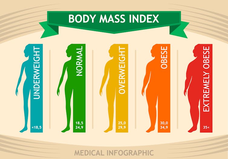 Bmi Weight Divided By Height Squared