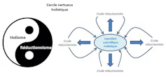 Les approches réductionnistes et holistiques doivent être considérées de façon complémentaire.