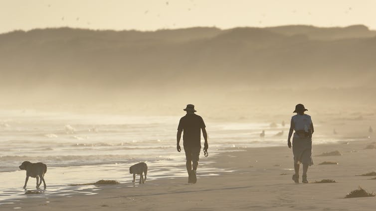 Man's stressed friend: how your mental health can affect your dog