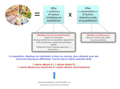 Qu’est-ce que le « potentiel santé » d’un aliment ?