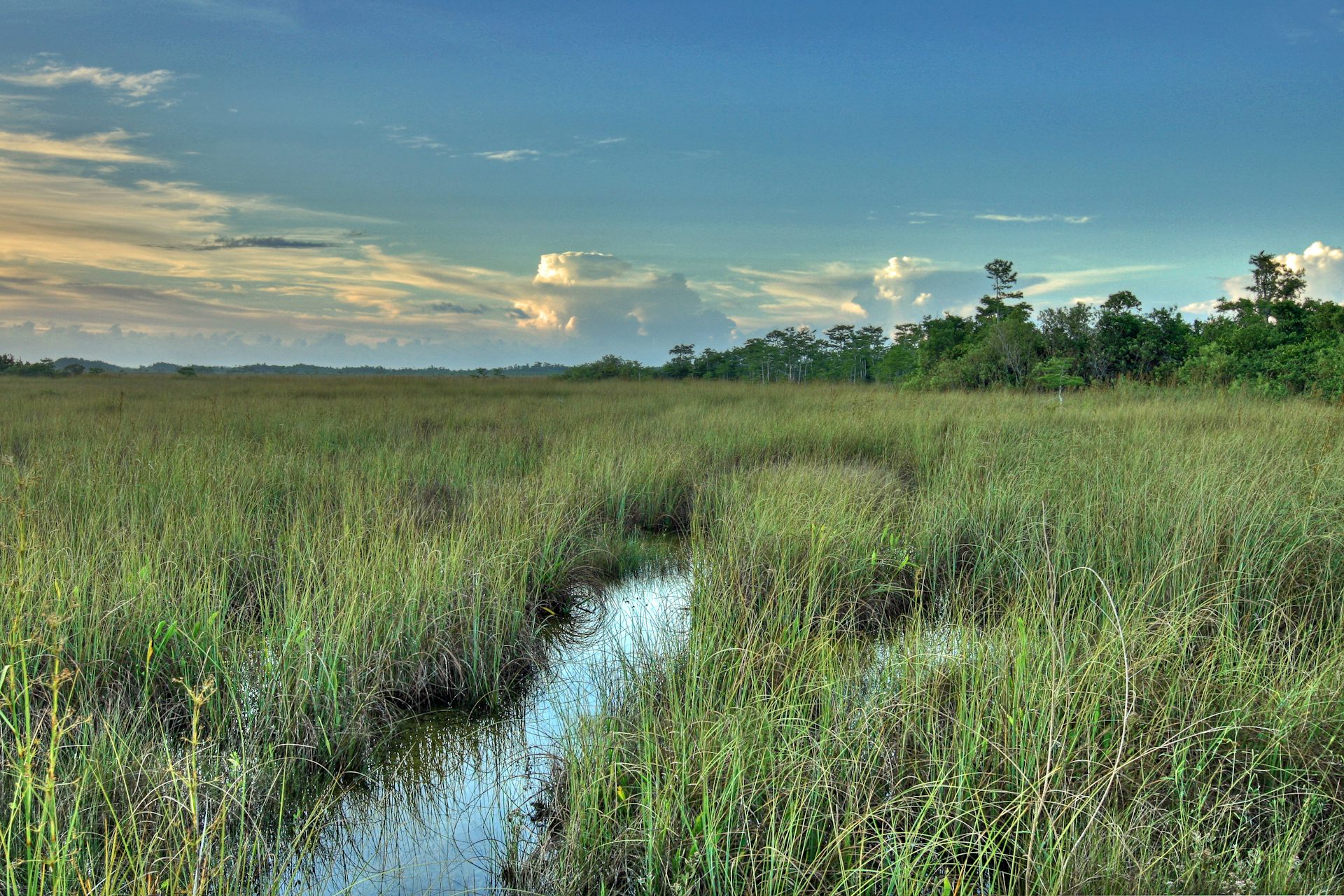 Climate Change Alters What’s Possible In Restoring Florida’s Everglades