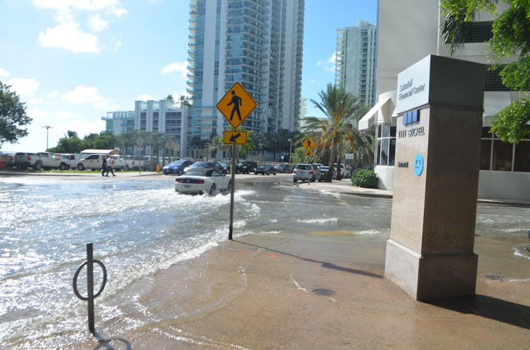 Climate change alters what's possible in restoring Florida's Everglades