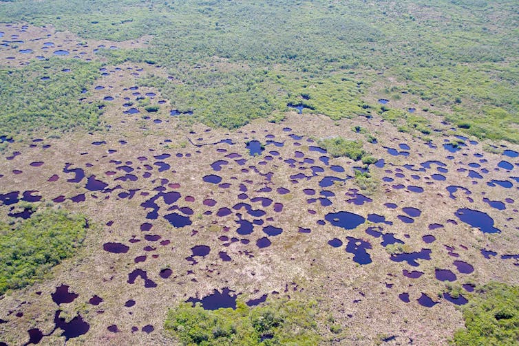 Climate change alters what's possible in restoring Florida's Everglades