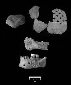 Trophies made from human skulls hint at regional conflicts around the time of Maya civilization's mysterious collapse