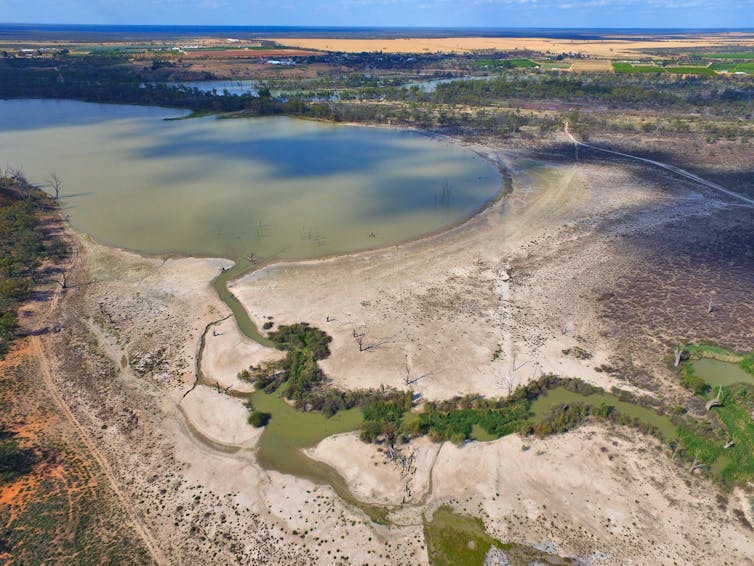 5 ways the government can clean up the Murray-Darling Basin Plan