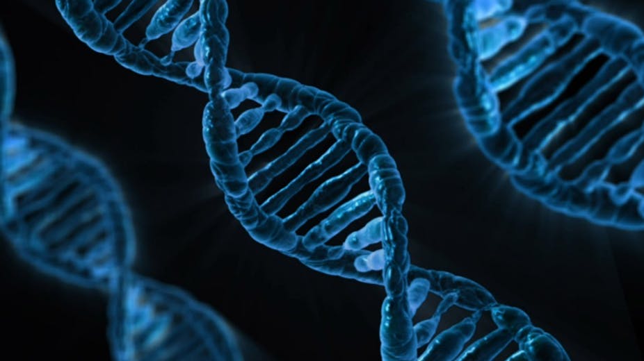 Que valent les tests ADN pour décrire nos origines ?