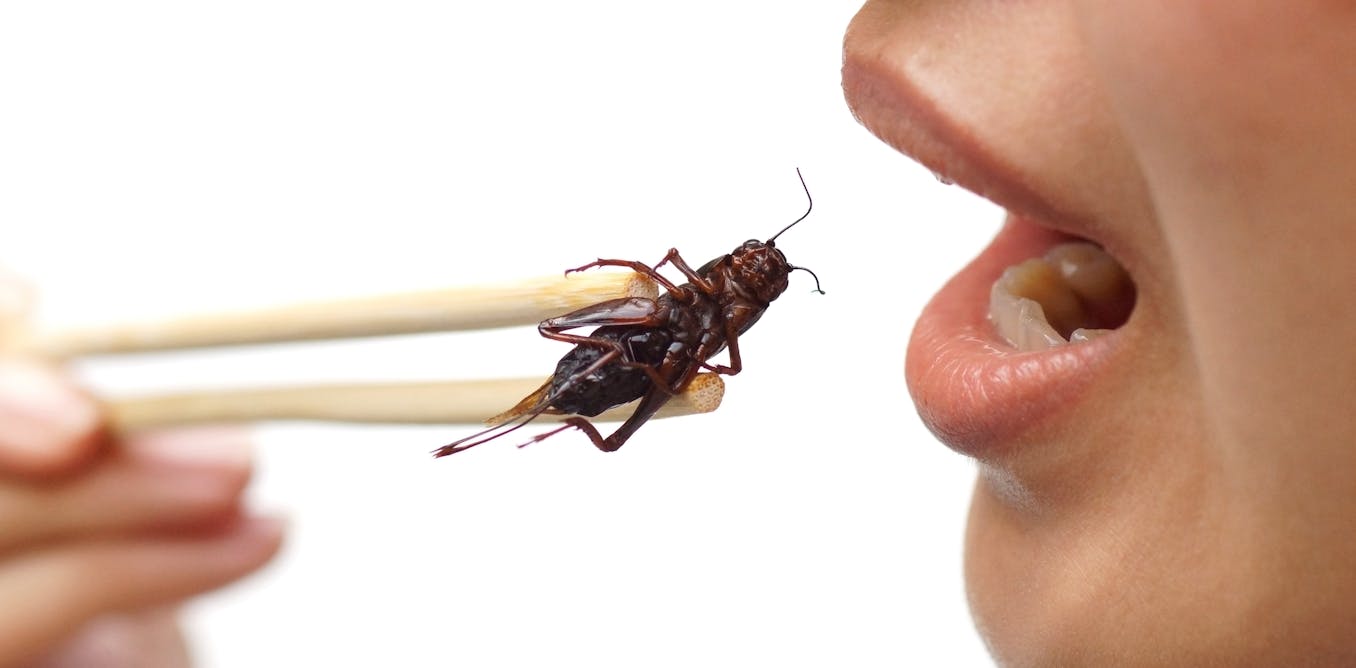 Eating insects is good for you — and the planet!