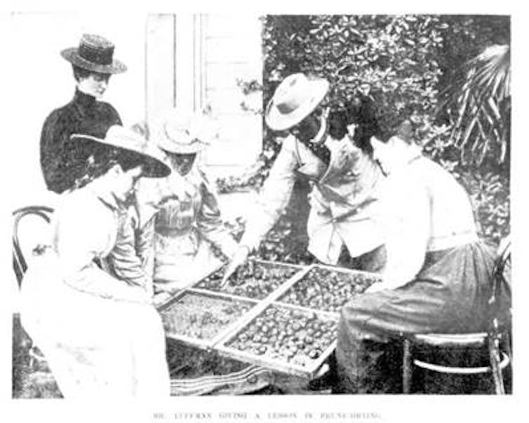 Horticulture for Ladies 1899
