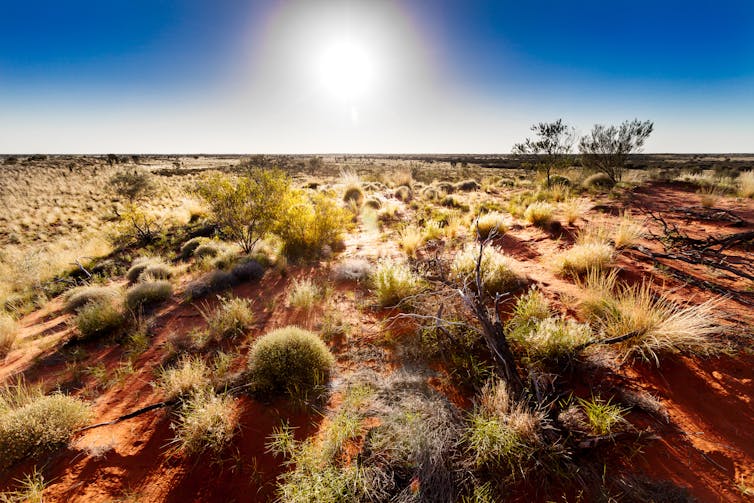 What do Aboriginal Australians want from their aged care system? Community connection is number one