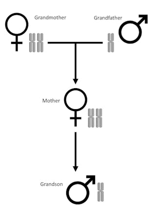 Enam Fakta Menakjubkan Dari Semut Yang Perlu Anda Ketahui