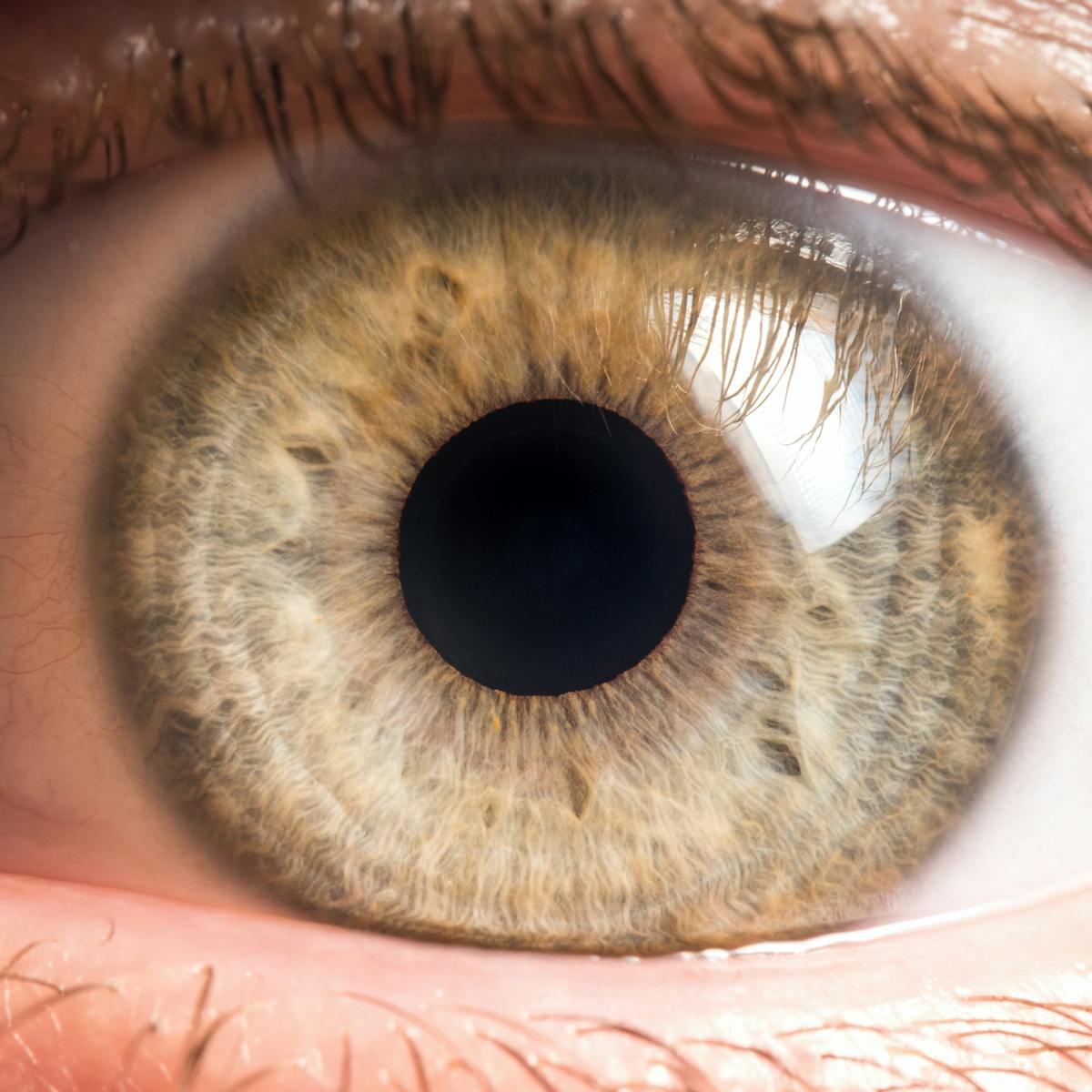 Bacteria Live On Our Eyeballs And Understanding Their Role Could Help Treat Common Eye Diseases Bacteria Live On Our Eyeballs And Understanding Their Role Could Help Treat Common Eye Diseases
