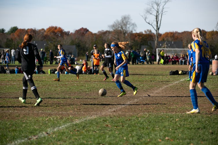 Controlling weeds on playing fields, parks and lawns without herbicides