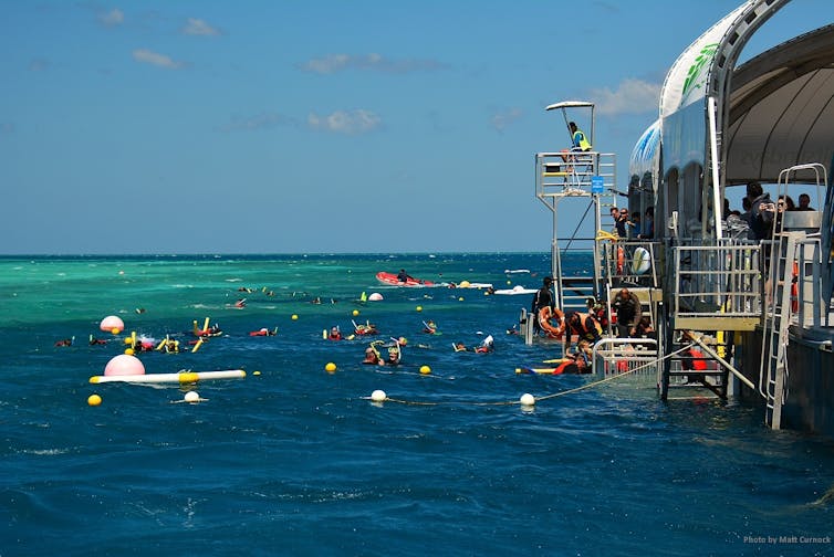 fear for the Great Barrier Reef made climate change feel urgent