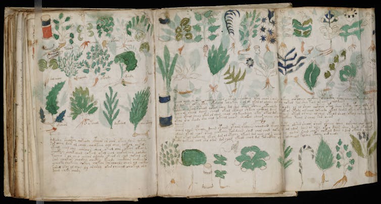 Many think the book is a compendium of herbal medicines