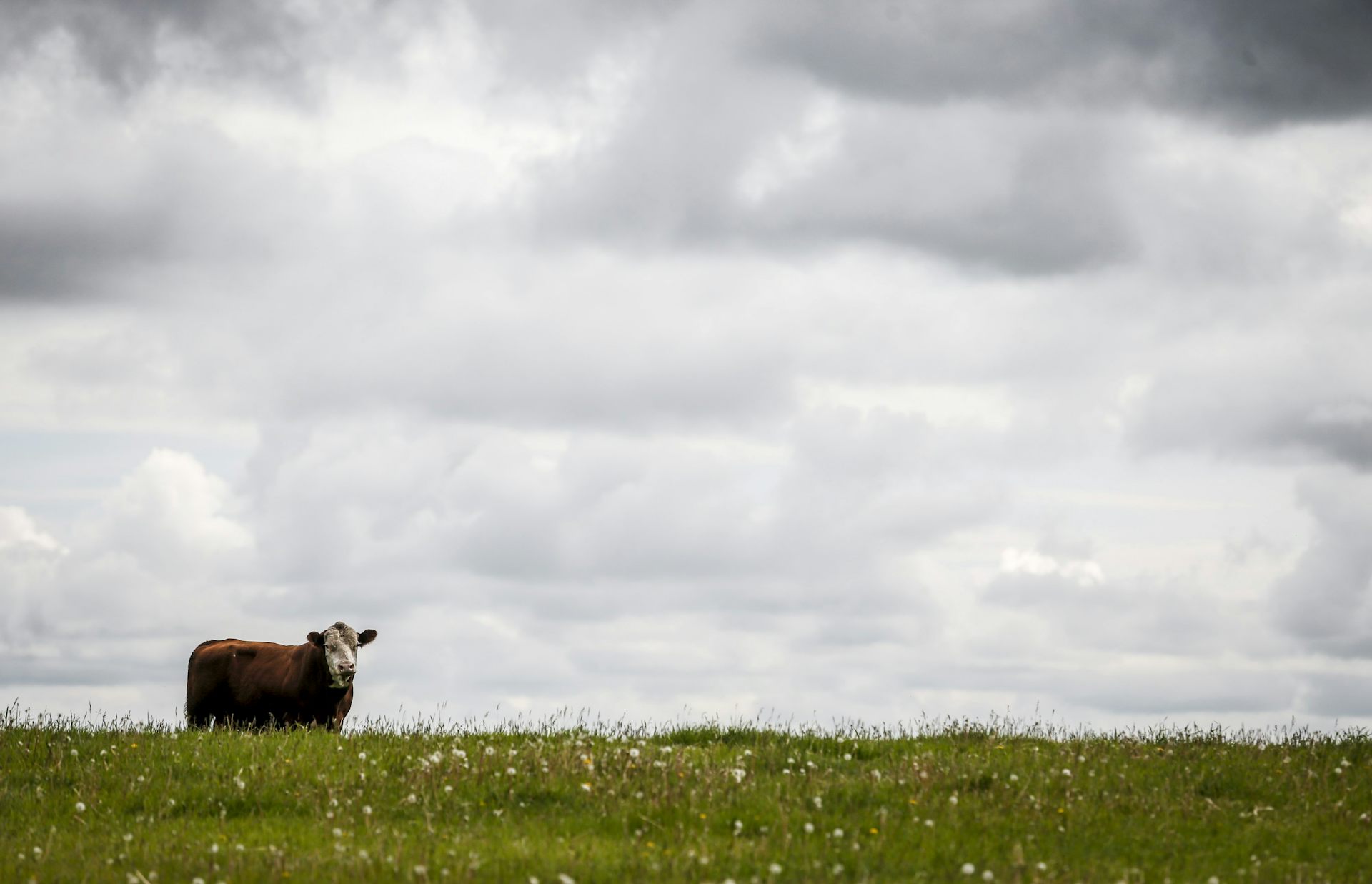 Cptpp News Research And Analysis The Conversation Page 1