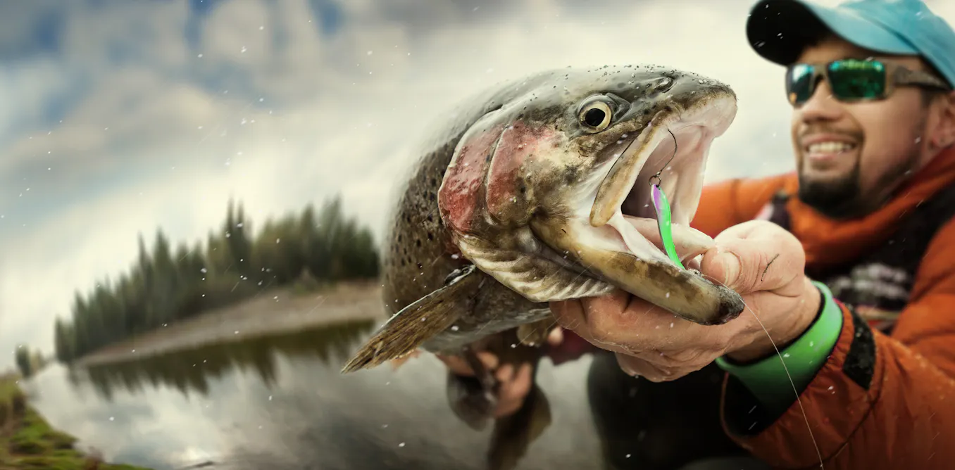 Catch me if you can! How anglers are changing the catchability of fish