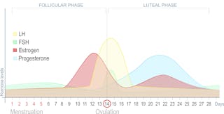 how to stop cravings before period
