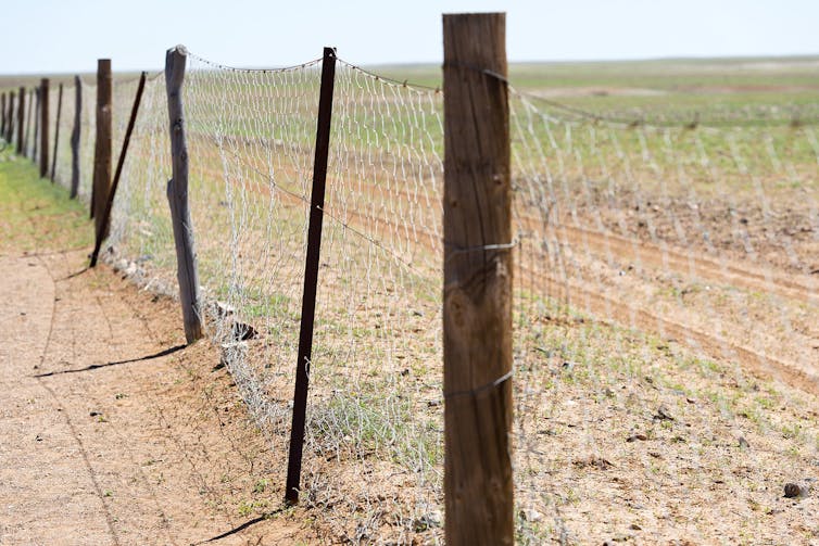 Demolish your front fence. It would be an act of radical kindness