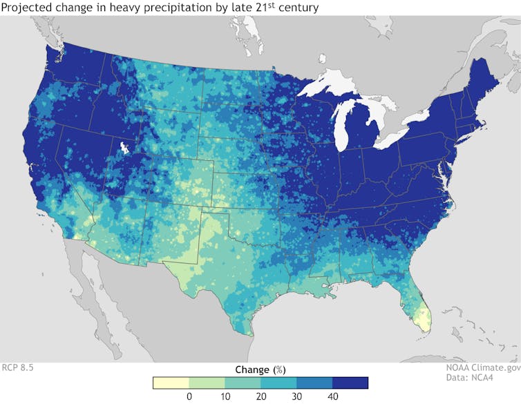 How your diet contributes to nutrient pollution and dead zones in lakes and bays