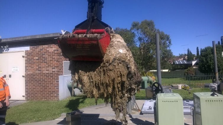 Regardless of what the Federal Court says, you shouldn't put 'flushable' wipes down the loo