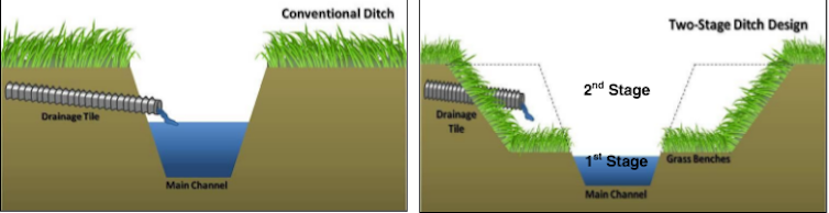 How your diet contributes to nutrient pollution and dead zones in lakes and bays