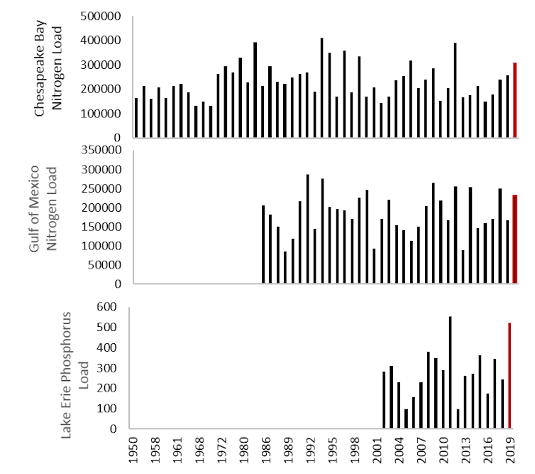 How your diet contributes to nutrient pollution and dead zones in lakes and bays