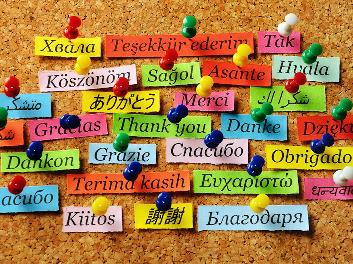 Five Reasons English Speakers Struggle To Learn Foreign Languages