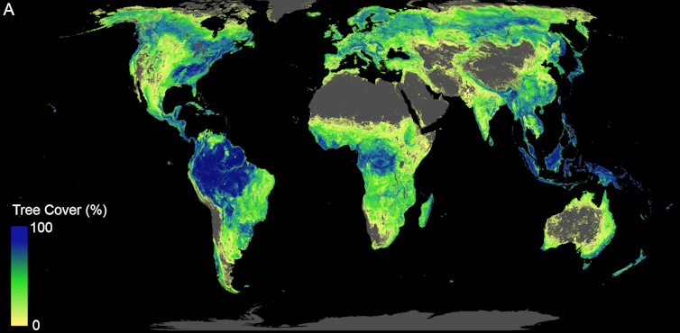 global map of how the new forest would look with planted trees, alongside what is already there. Blue represents the highest percentage of tree cover