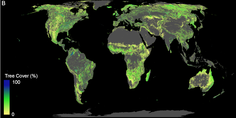 global map of where trees could be planted. Green light shows where the billion hectares of forest could be planted