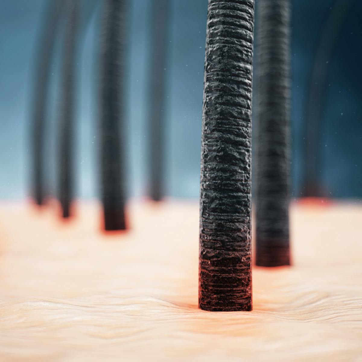 Ogden Skin Care Center