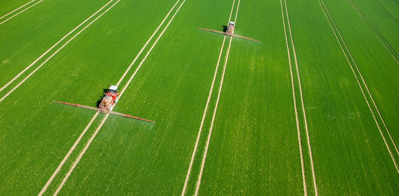 Eight ways to halt a global food crisis Biology Diagrams