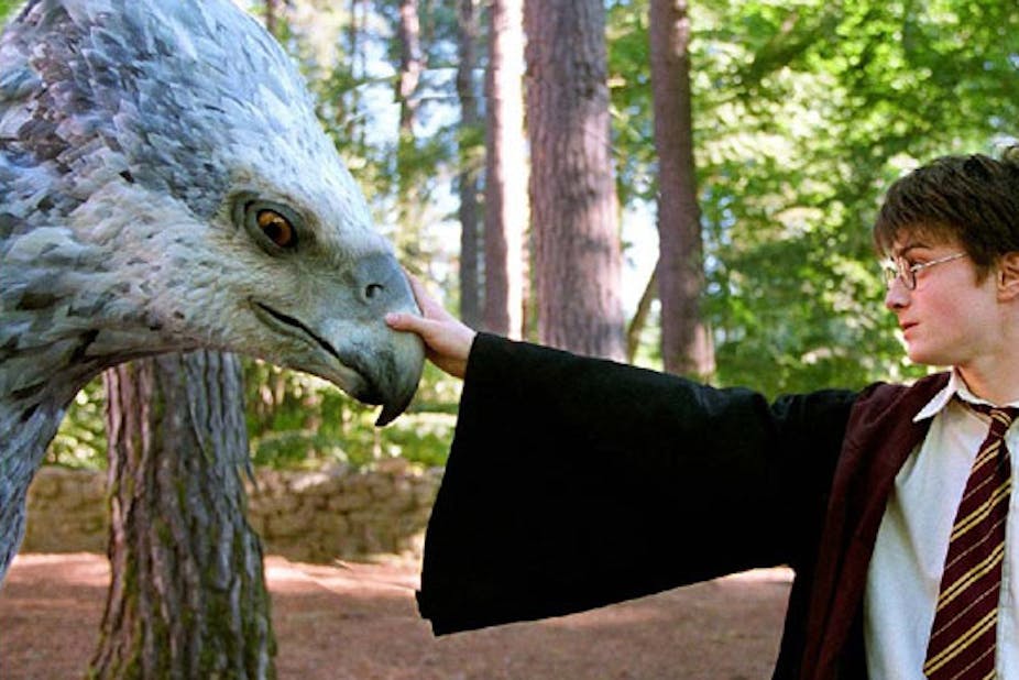 Lectures Ces Classiques Qu Harry Potter Fait Decouvrir A Vos Enfants