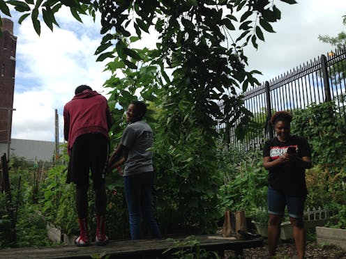 At A New York City Garden Students Grow Their Community Roots And