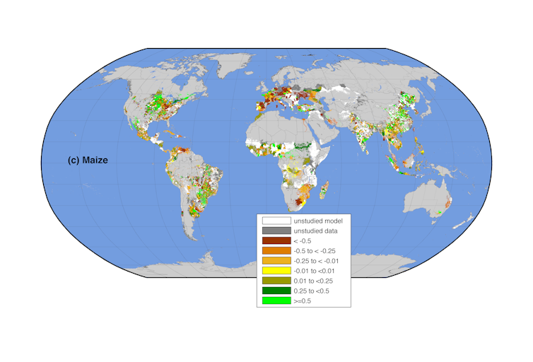 Climate change is affecting crop yields and reducing global food supplies