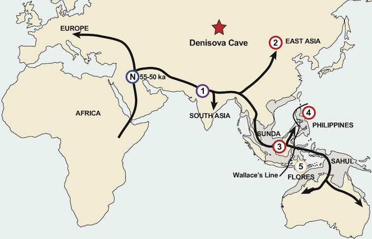 Southeast Asia was crowded with archaic human groups long before we turned up