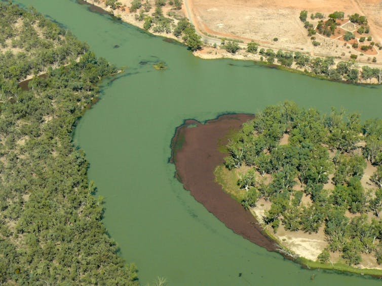 The Murray-Darling Basin scandal: economists have seen it coming for decades