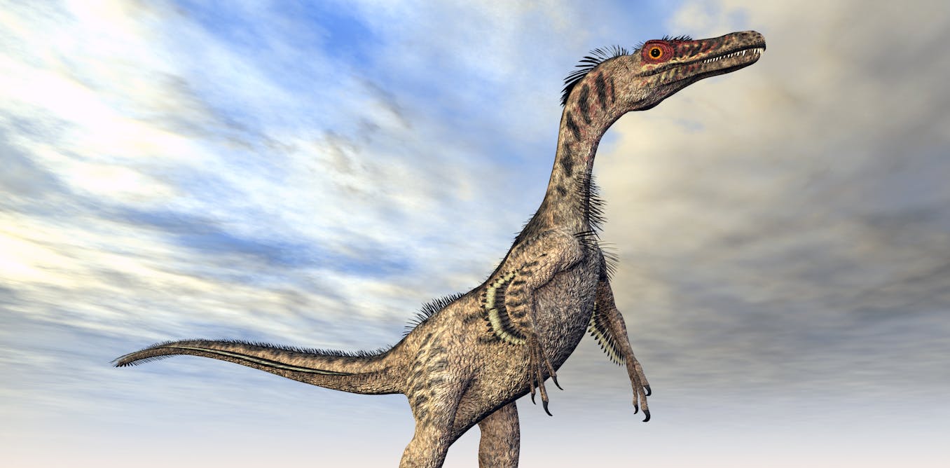 Velociraptor Feathers Jurassic Park