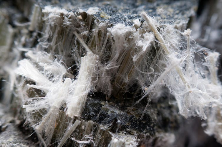 asbestos in the home in victoria