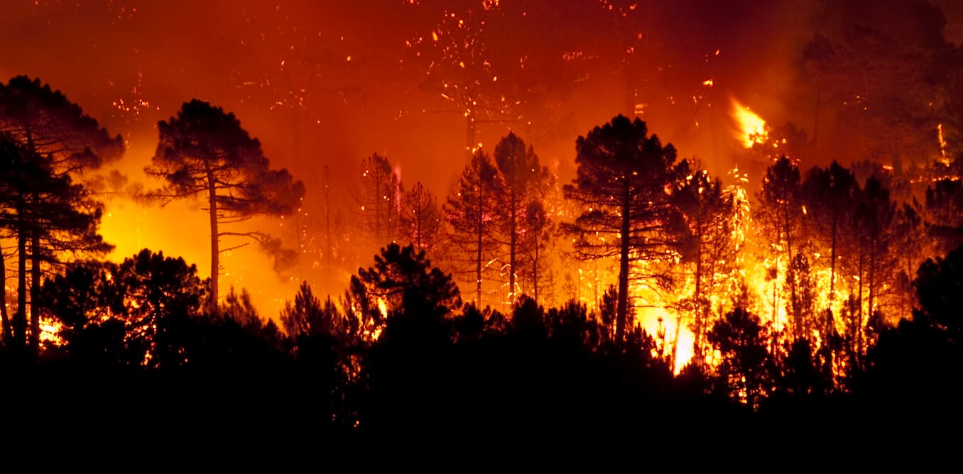 Cómo prevenir incendios forestales usando medidas mitigadoras del cambio climático