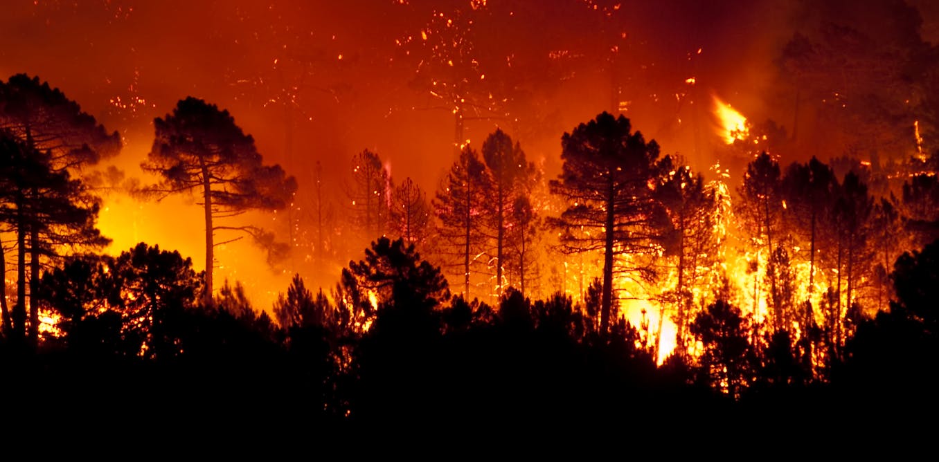 INCENDIOS FORESTALES
