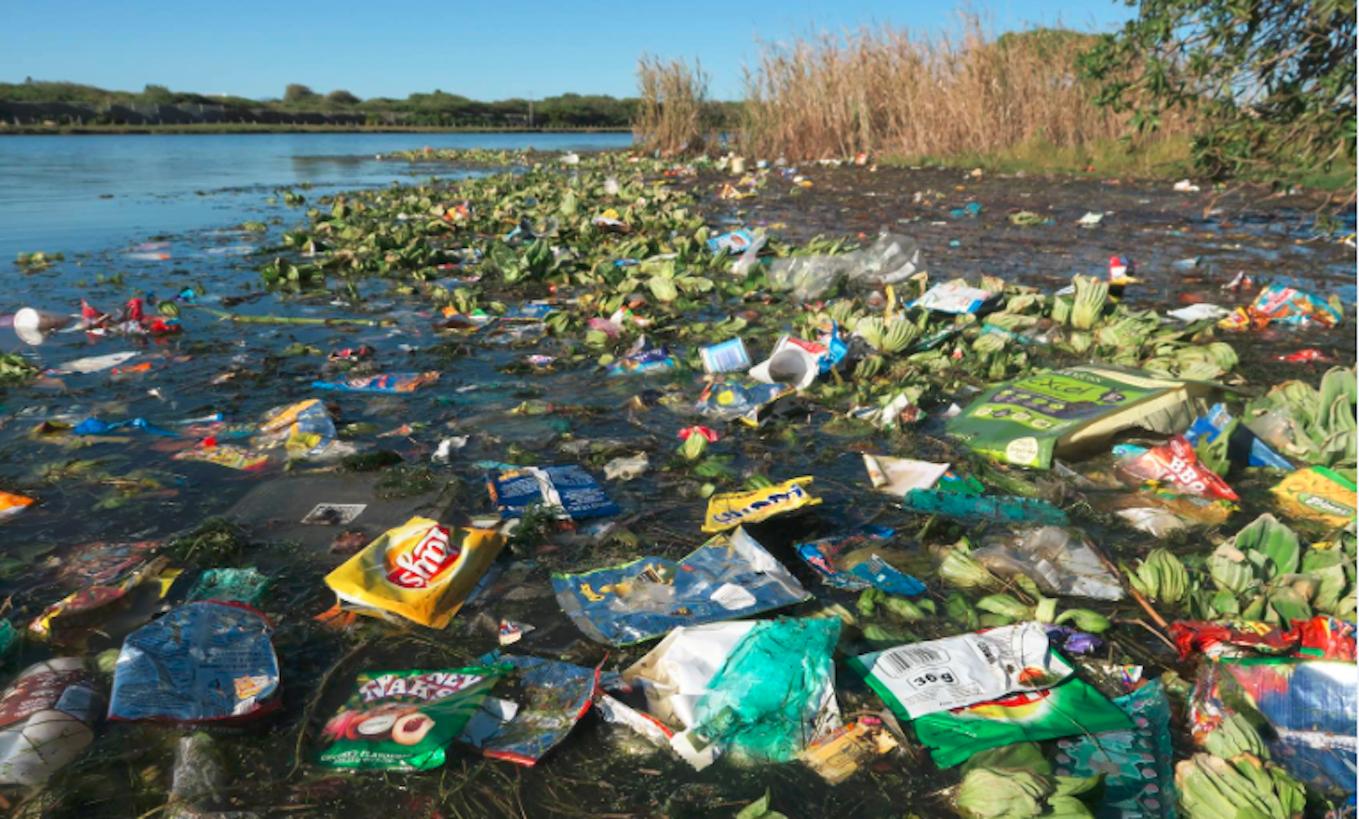 Plastic poses a major environmental threat but is it being overstated?