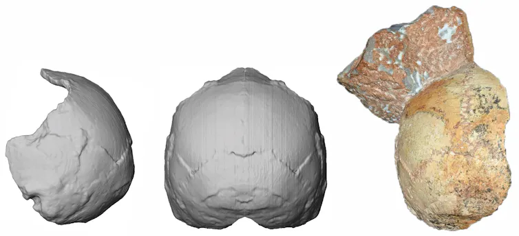 Apidima Oldest human skull outside Africa identified as 210,000 years old