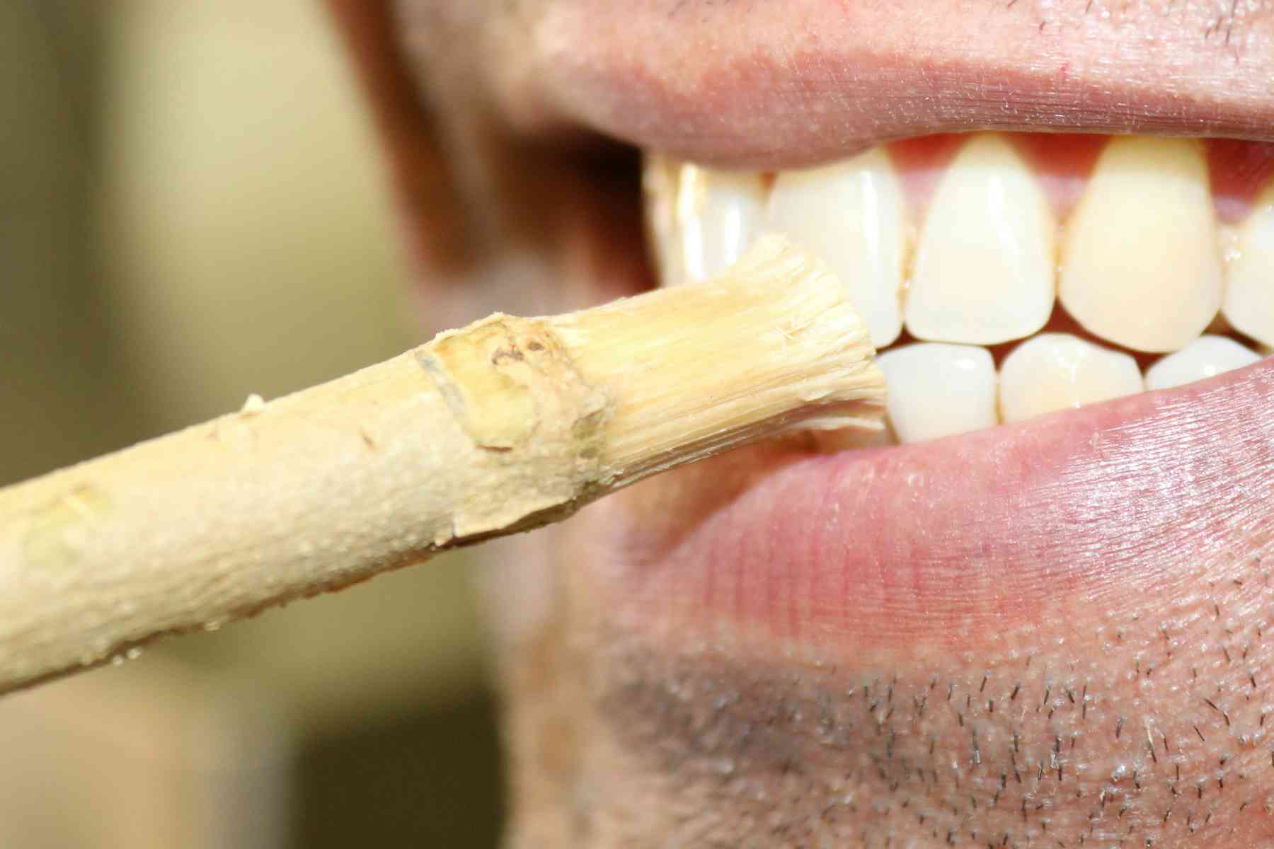 How did people actually clean their teeth before the modern era? - GOOD